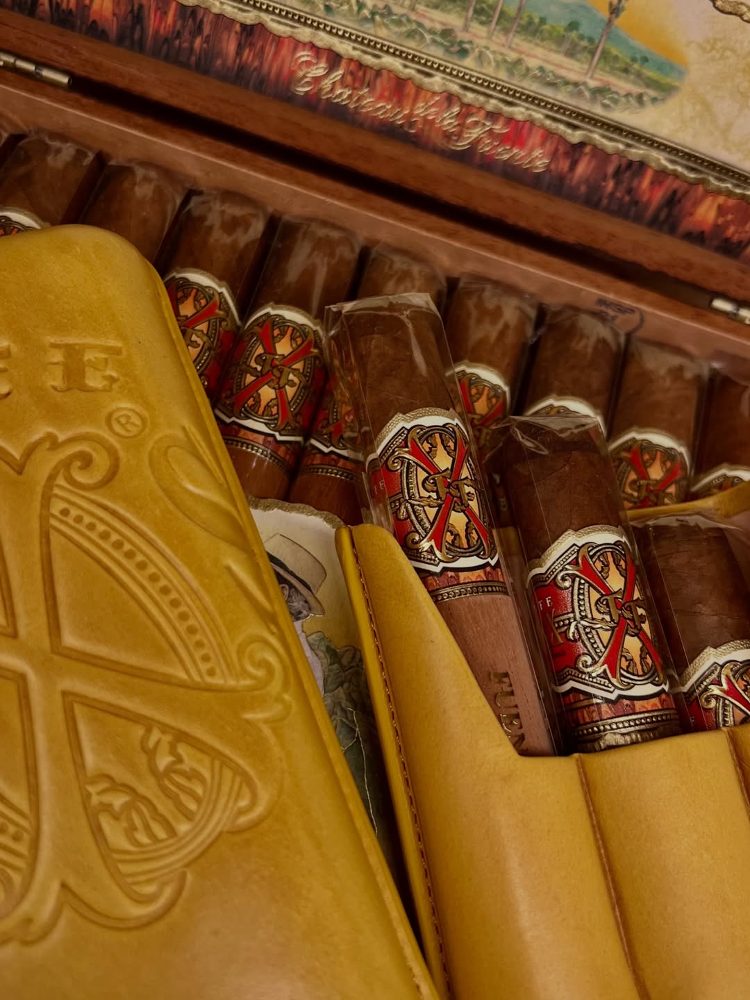 Cigar Cases