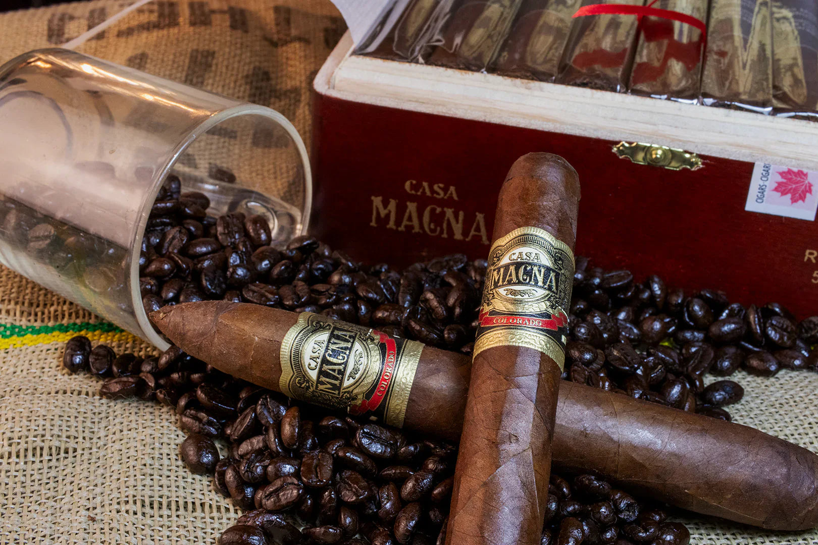 Casa Magna Cigars