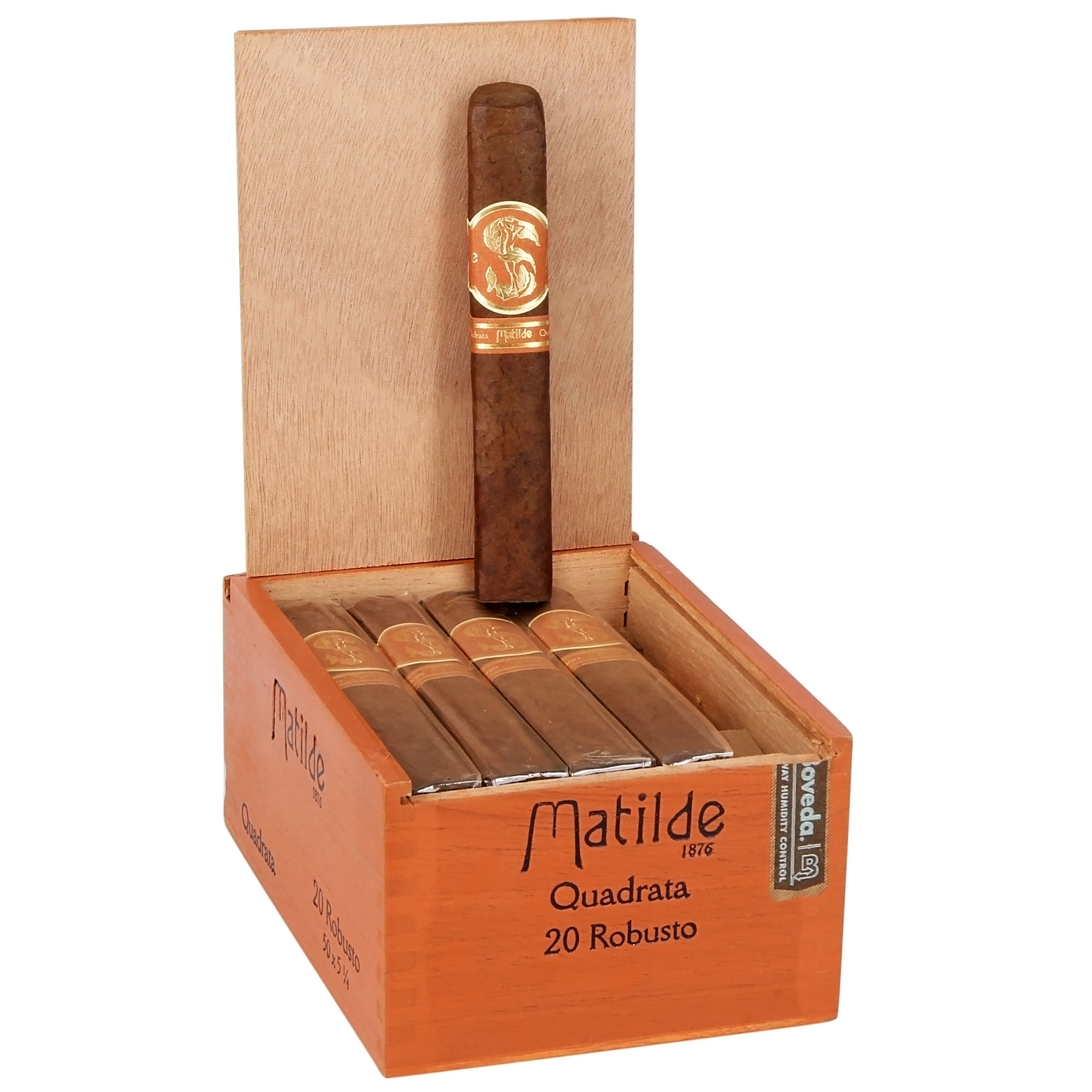 Matilde Quadrata Robusto