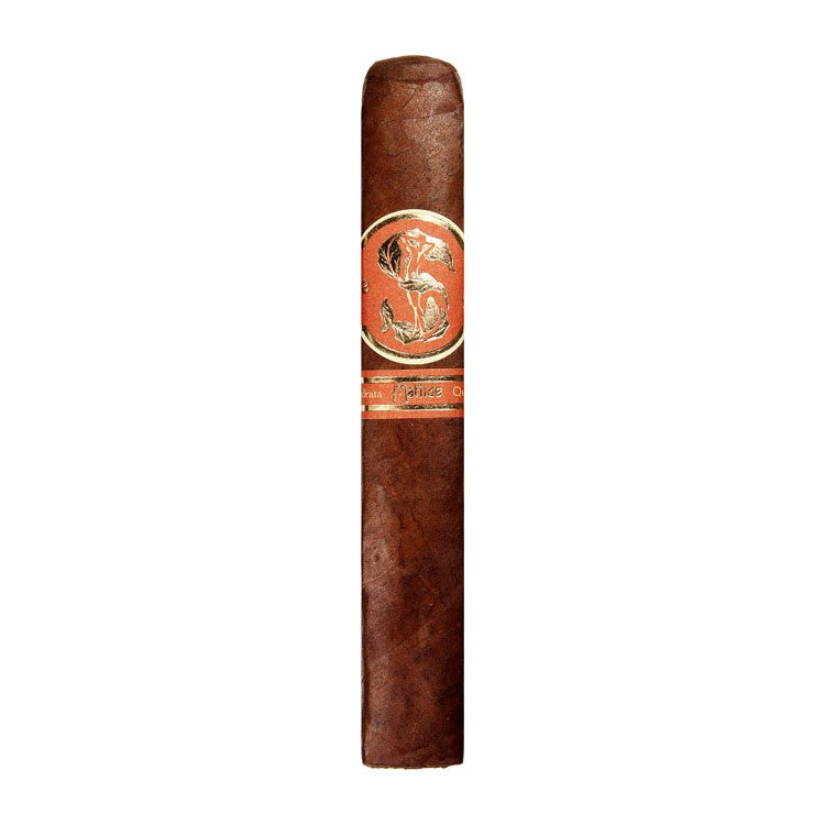 Matilde Quadrata Robusto