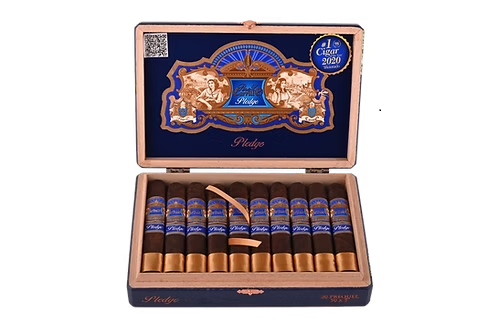 Casa Carrillo Pledge Prequel