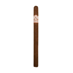 Aladino Orchant Seleccion Lancero